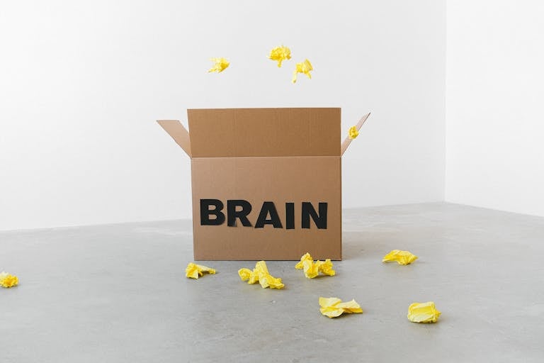 second brain